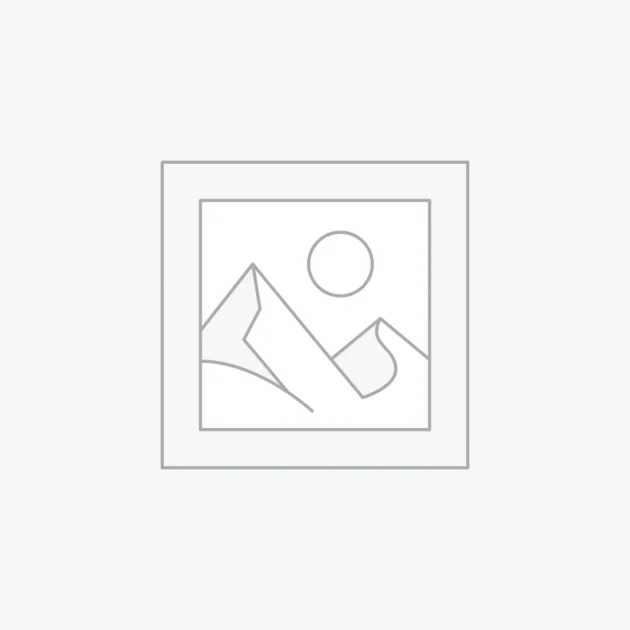 Ship Your Idea
